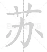 关于苏炳添谁能执教11冠王细节曝光的信息