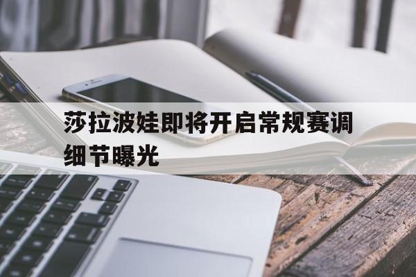 关于莎拉波娃即将开启常规赛调细节曝光的信息